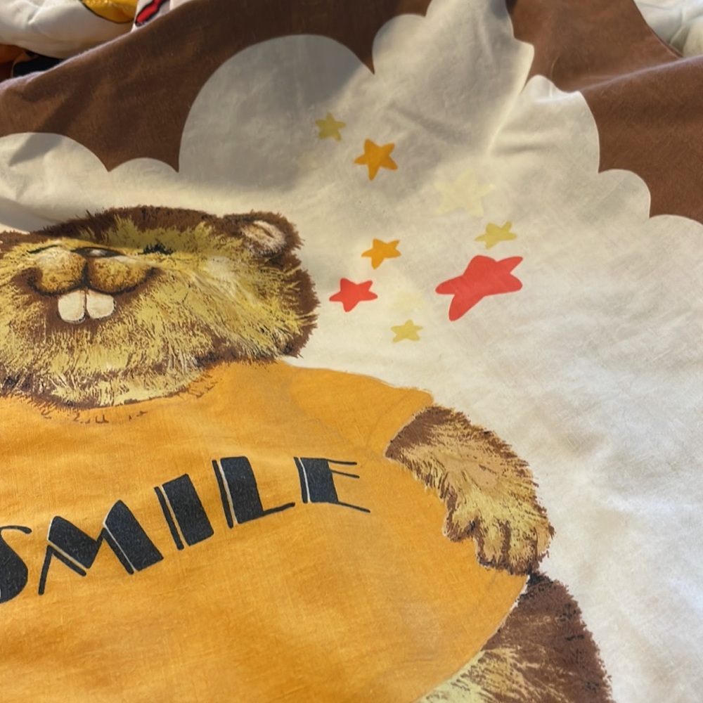 Vintage pillow case - Picture 4 of 8